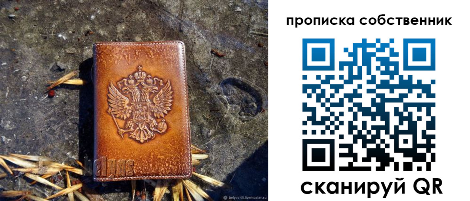 прописка иностранных граждан в Фрязино